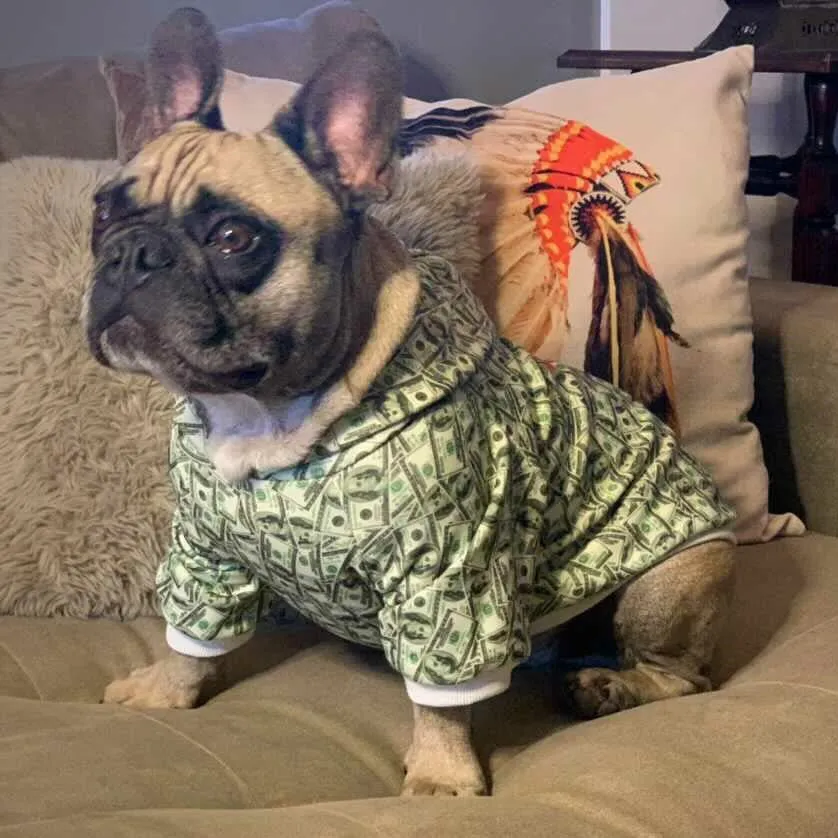 Money Print Dog Hoodie by Furr Baby Gifts