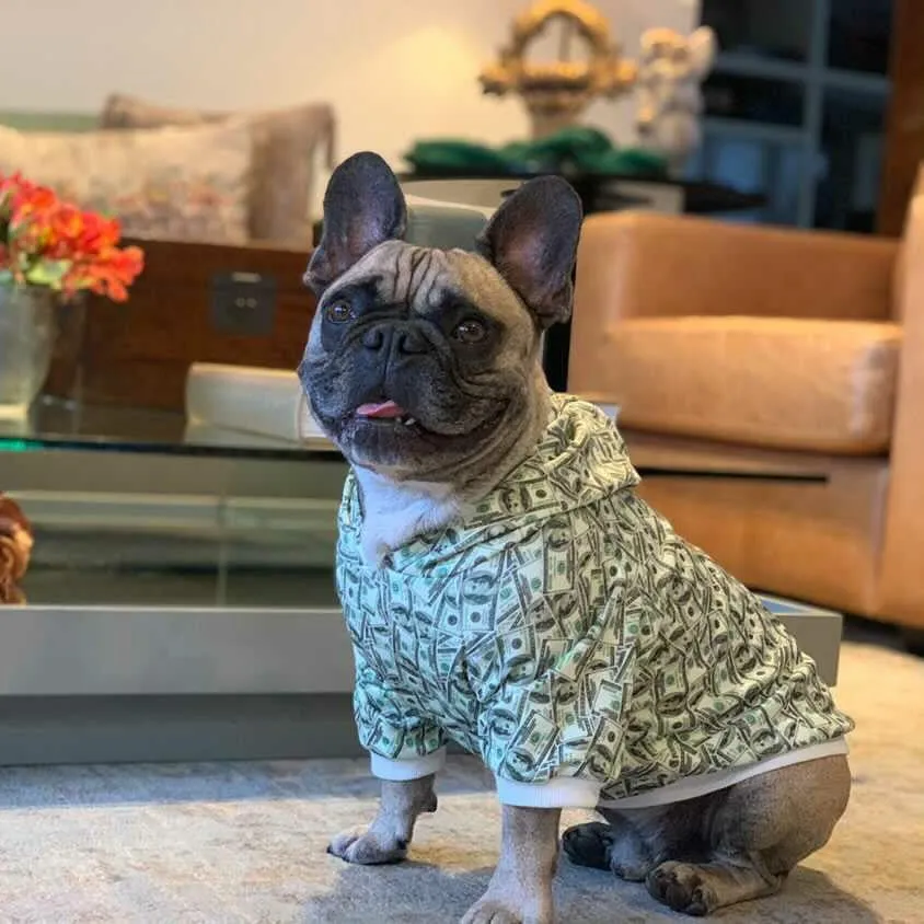 Money Print Dog Hoodie by Furr Baby Gifts
